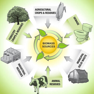 biomass energy