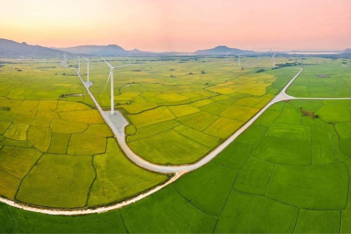 Tổng thầu EPC dự án điện gió Đầm Nại 2